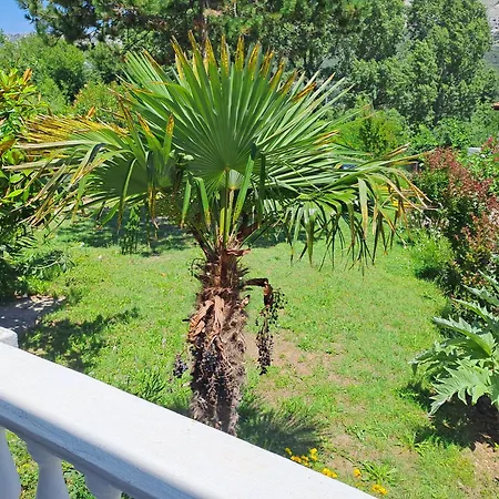 Apartment Put 2 *